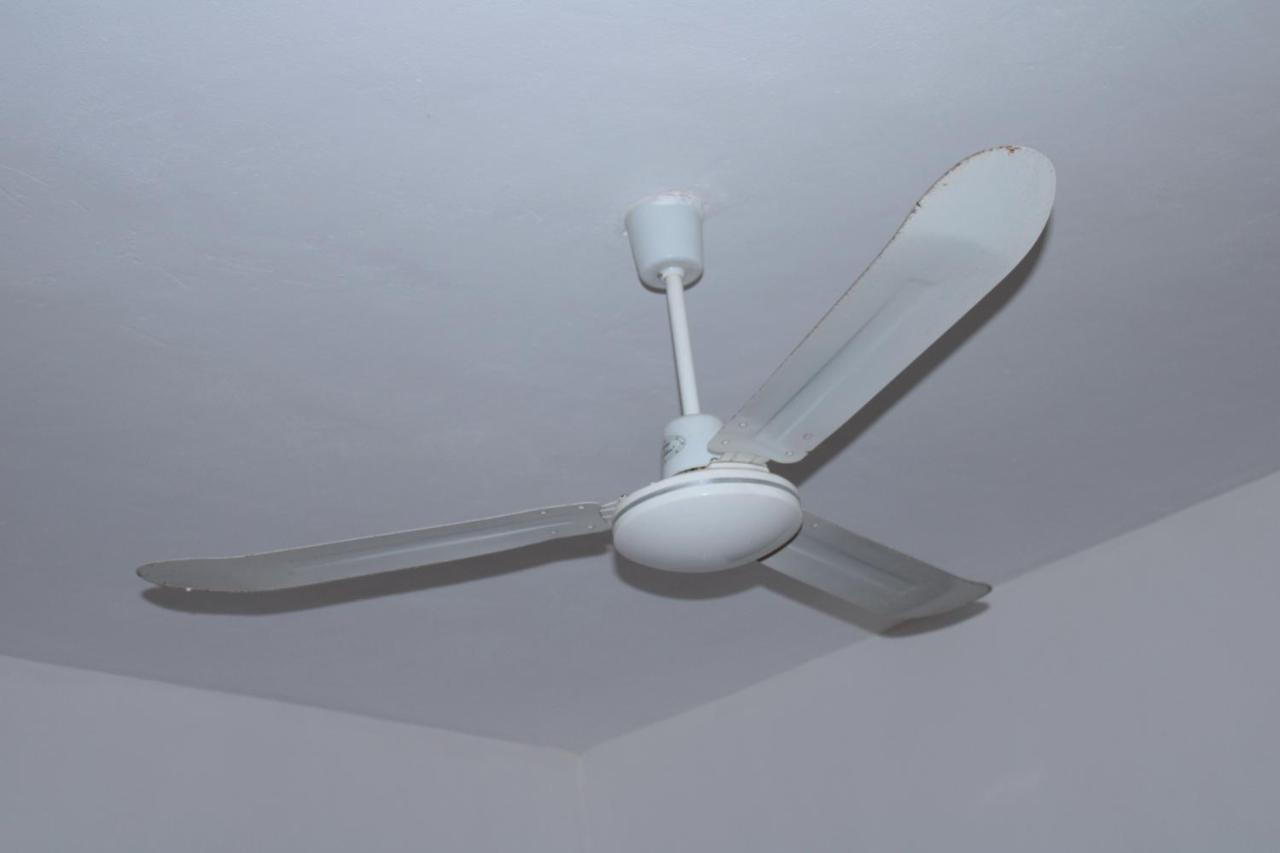 فندق Nicte-Ha إكسبوجيل المظهر الخارجي الصورة